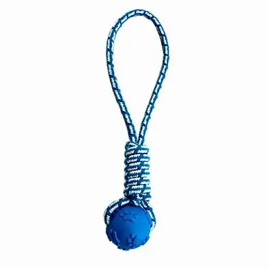 Homepet TPR игрушка для собак мяч на веревке